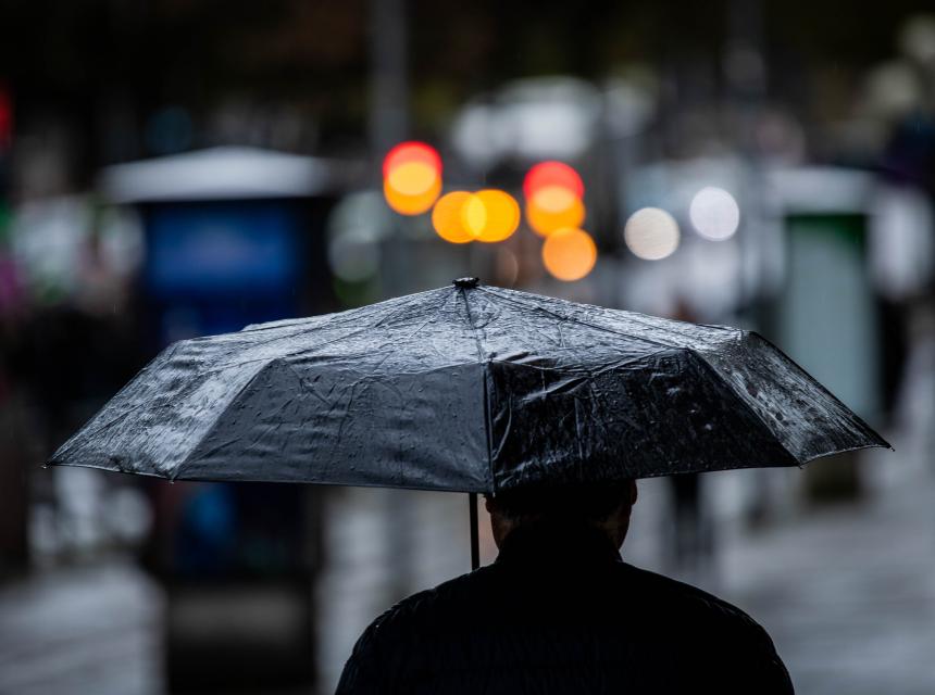 Blog Coopidrogas Casos de dengue